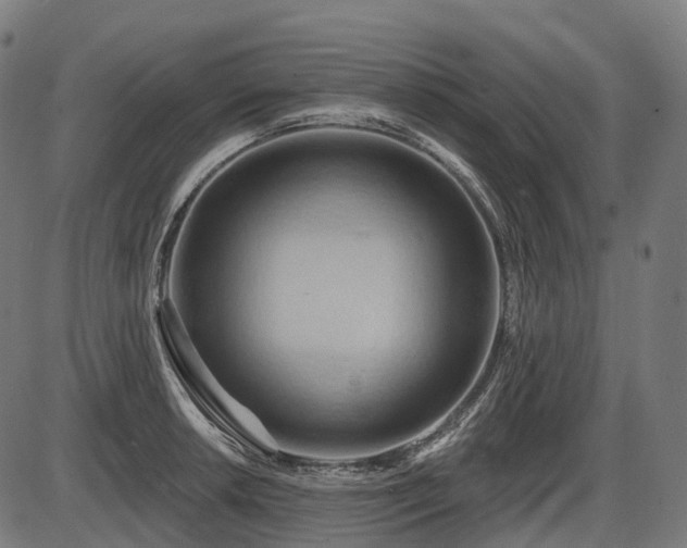 X0000087531042200704271202