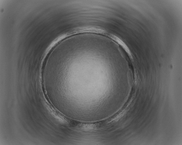 X0000087531043200704271202
