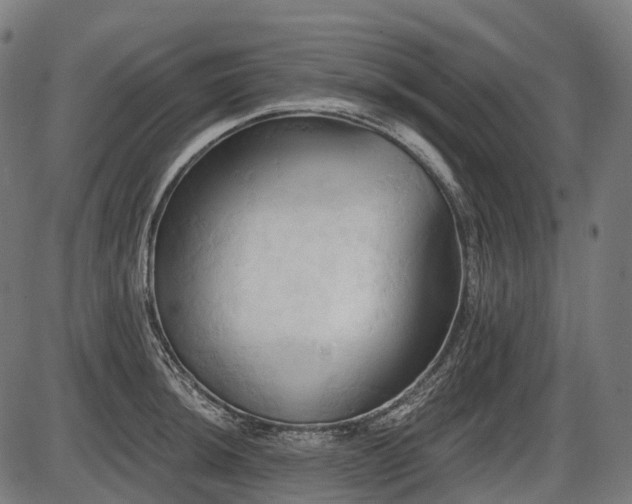 X0000087531044200704271202