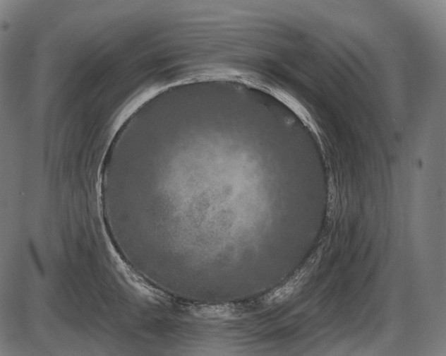 X0000087531047200704271202