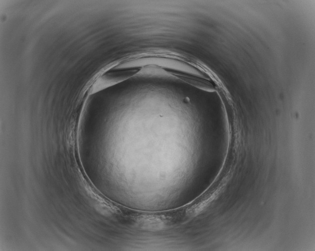X0000087531049200704271202