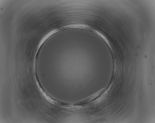 X0000087531050200704271202