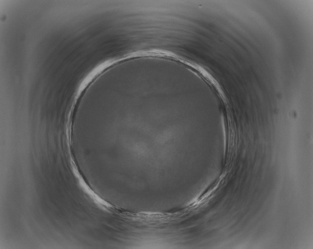 X0000087531054200704271202