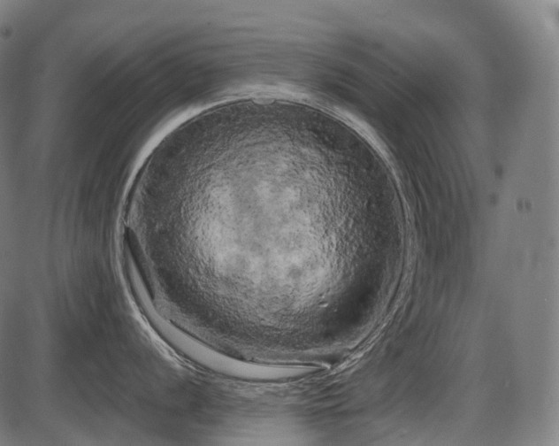 X0000087531056200704271202