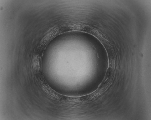 X0000087531058200704271201