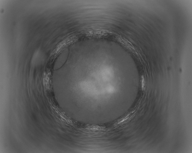 X0000087531059200704271201