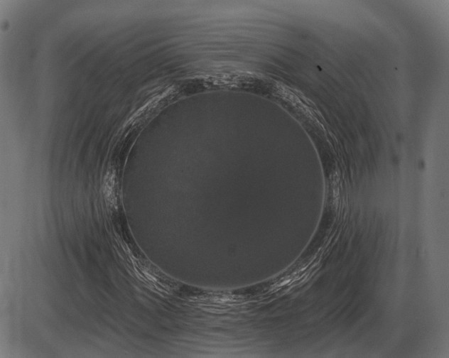 X0000087531060200704271201