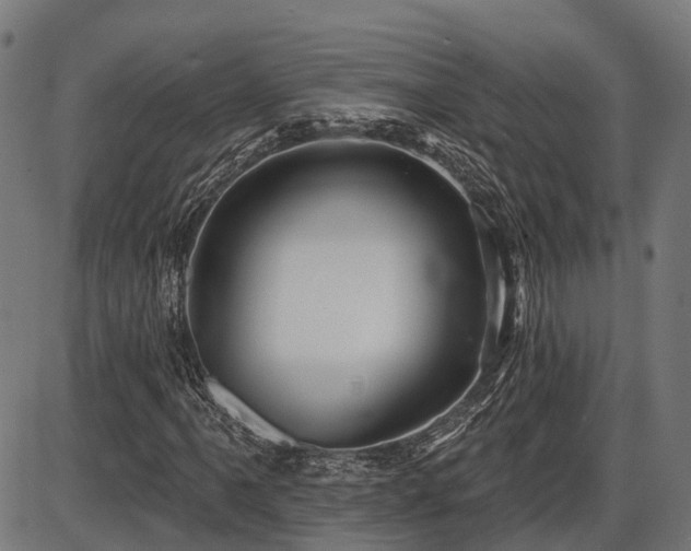 X0000087531061200704271201