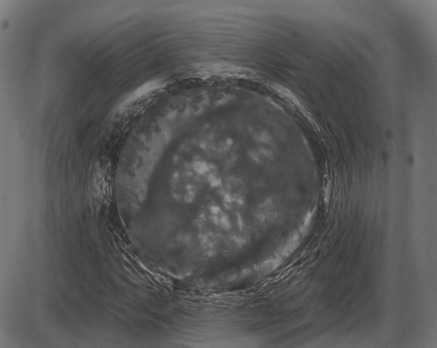 X0000087531063200704271201