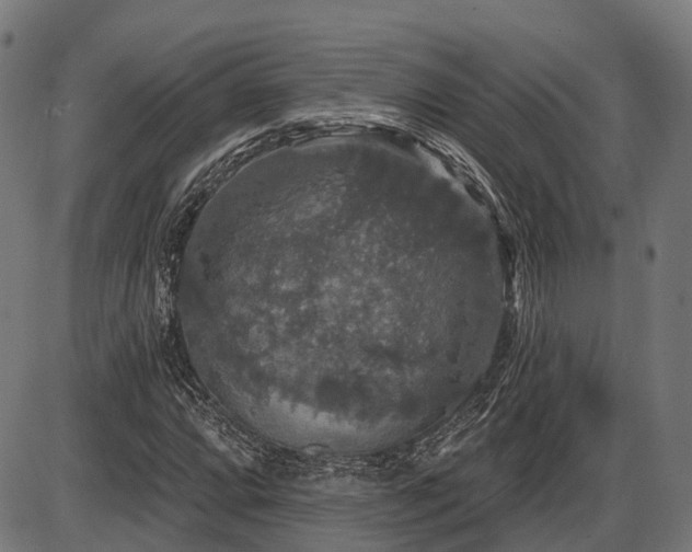X0000087531064200704271201