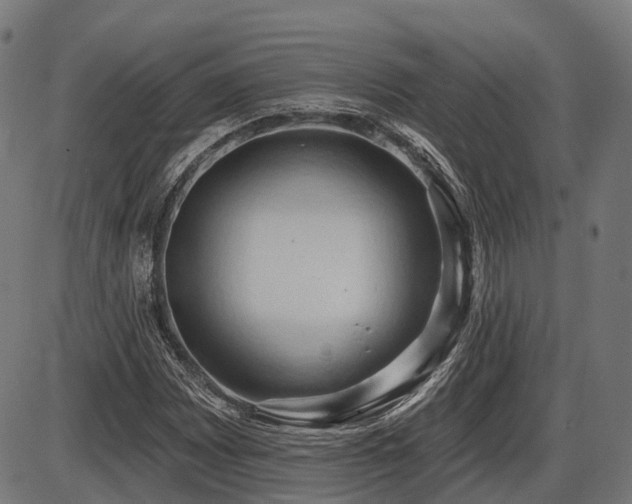 X0000087531065200704271201