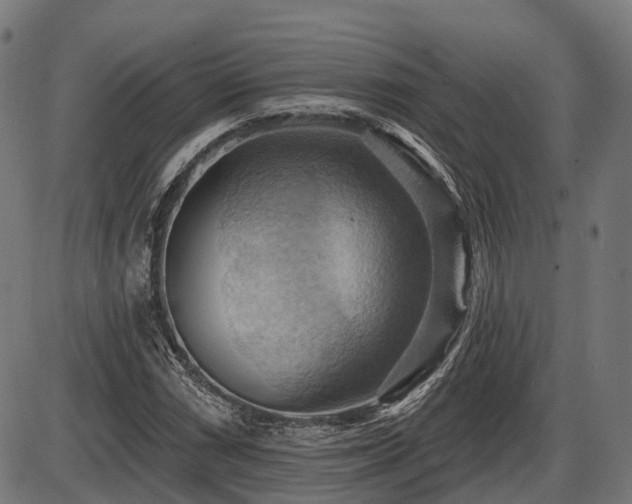 X0000087531066200704271201