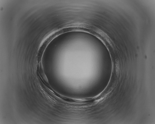 X0000087531069200704271201