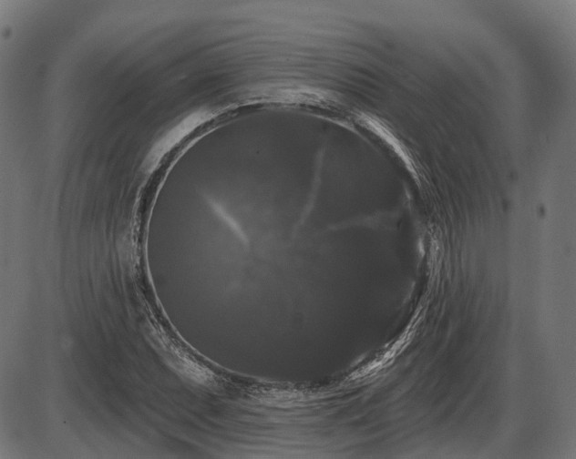 X0000087531071200704271201