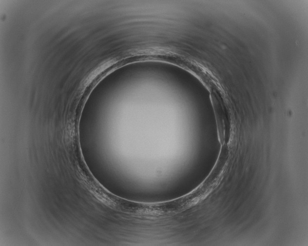 X0000087531073200704271201