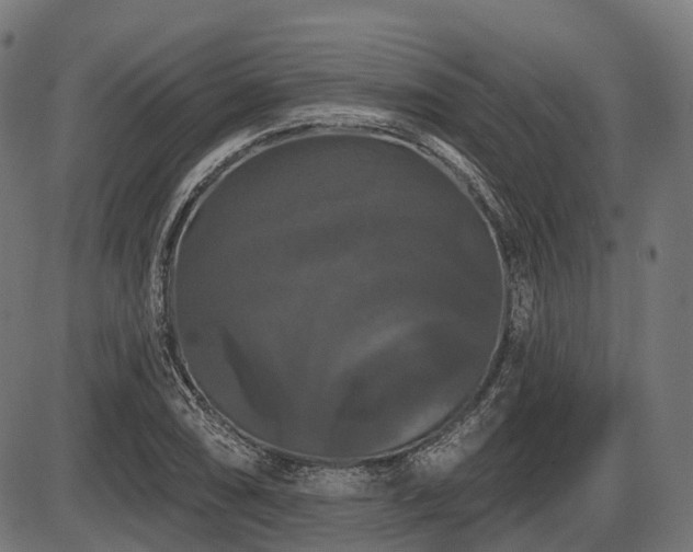 X0000087531074200704271201