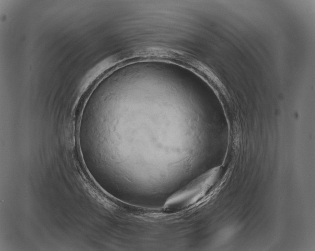 X0000087531075200704271201