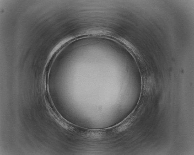 X0000087531078200704271201