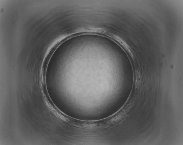 X0000087531080200704271201