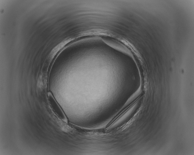 X0000087531081200704271201