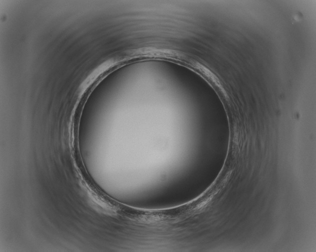 X0000087531082200704271201