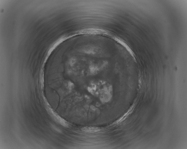 X0000087531083200704271201