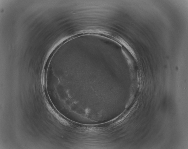 X0000087531084200704271201