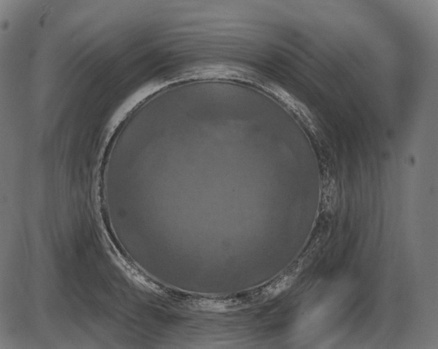 X0000087531086200704271201