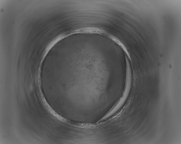 X0000087531091200704271201