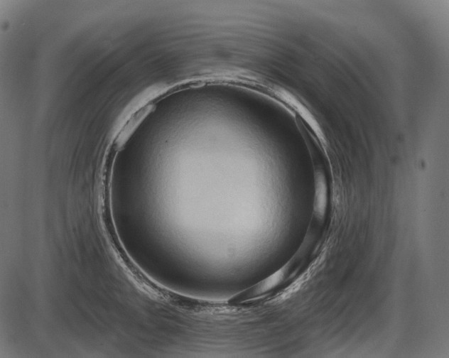 X0000087531093200704271201