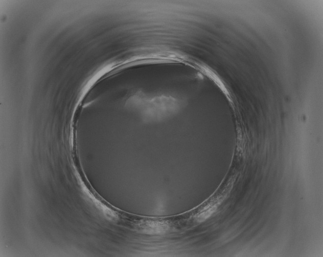 X0000087531095200704271201