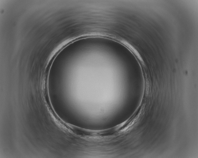 X0000087531101200704271201