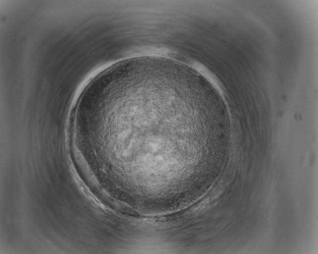 X0000087531104200704271200