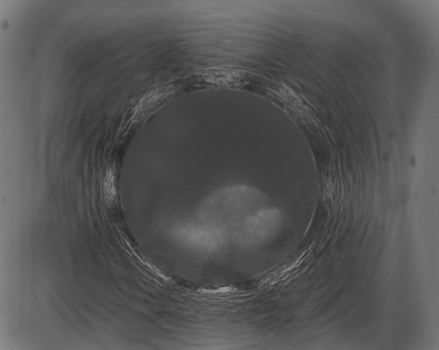 X0000087531106200704271200