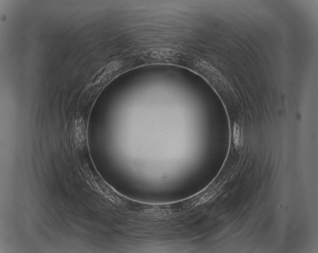 X0000087531107200704271200