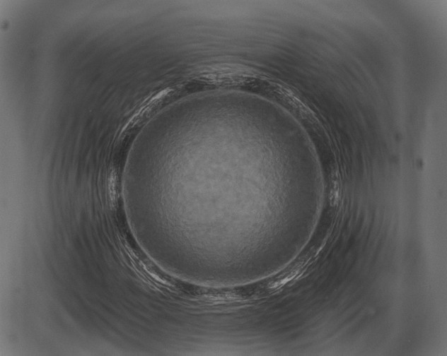 X0000087531108200704271200