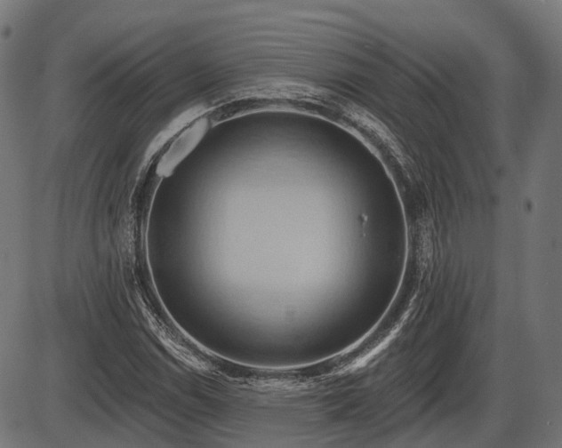 X0000087531114200704271200