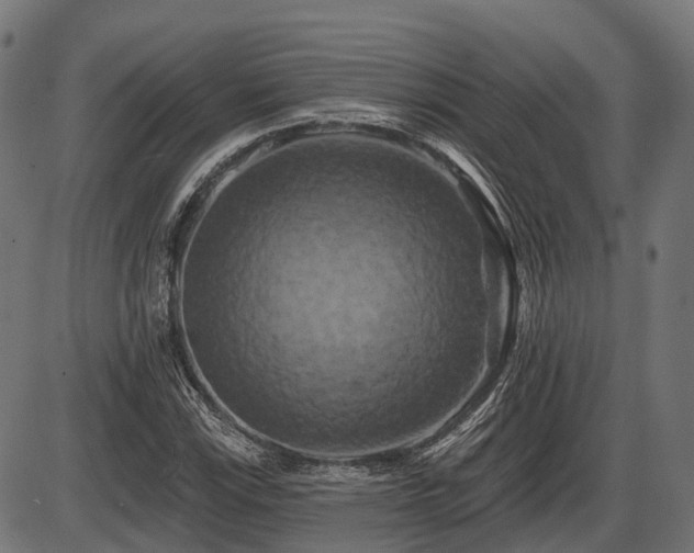 X0000087531115200704271200