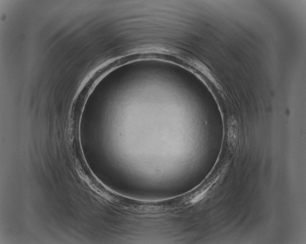 X0000087531116200704271200