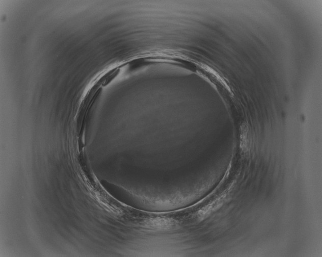 X0000087531117200704271200