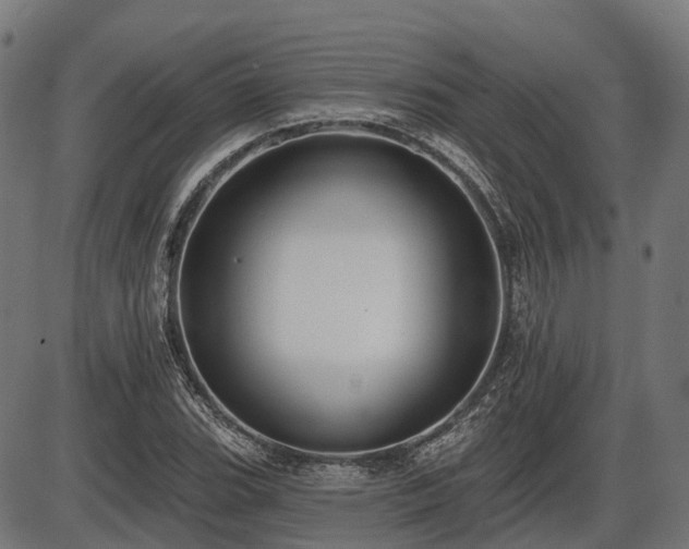 X0000087531119200704271200