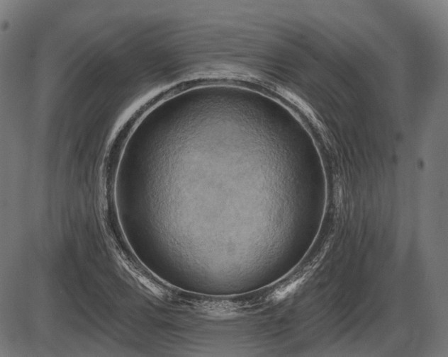 X0000087531120200704271200