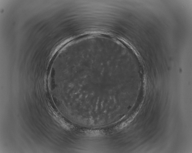 X0000087531121200704271200
