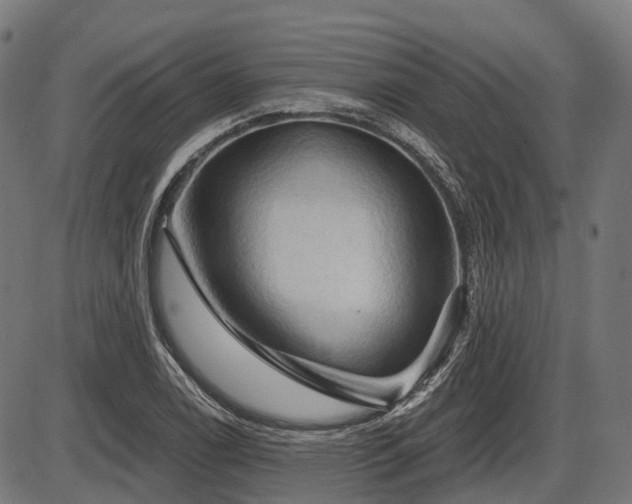X0000087531122200704271200