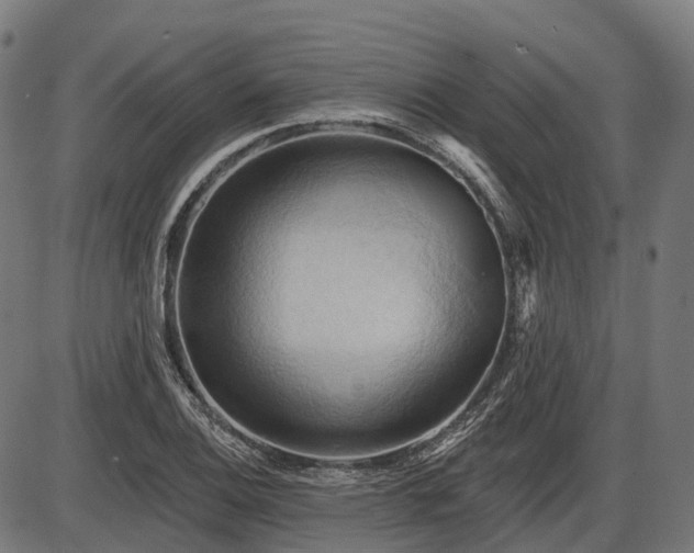 X0000087531124200704271200