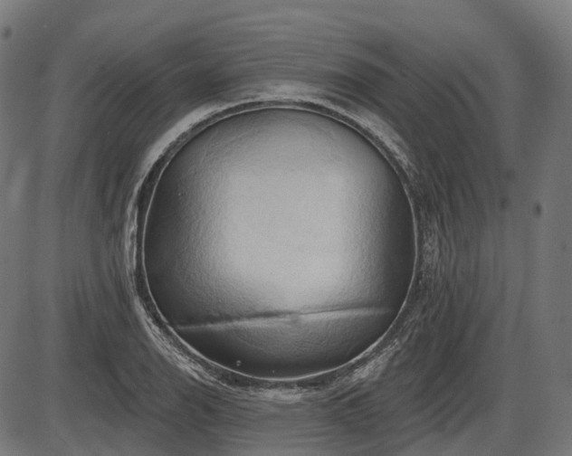 X0000087531126200704271200