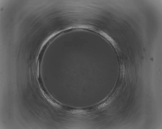 X0000087531127200704271200