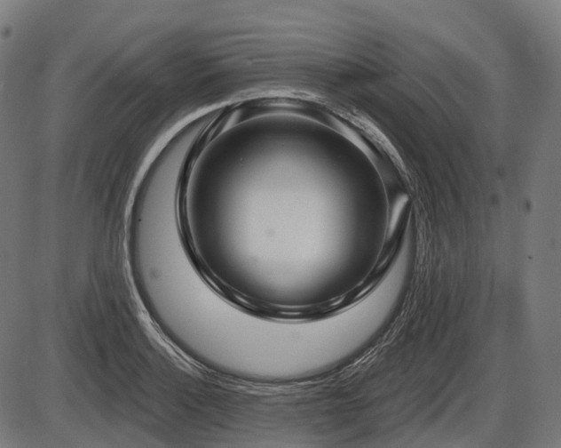 X0000087531132200704271200