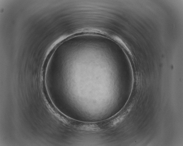 X0000087531133200704271200