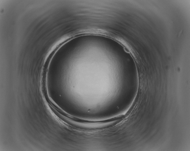 X0000087531139200704271200
